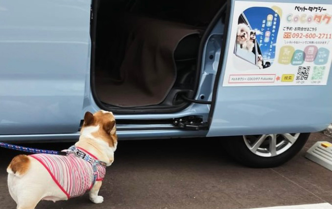 こんなお車を用意しています